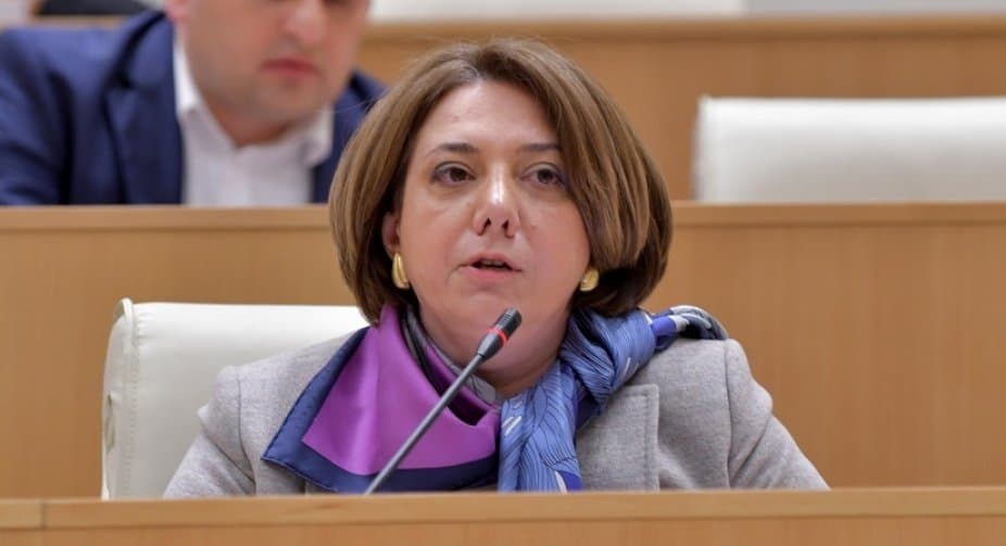 სალომე სამადაშვილი – თუ ჩვენ ეს არ გამოვიყენეთ, არ ვიცით, სად იქნება პროცესი 6 ან 8 თვის შემდეგ