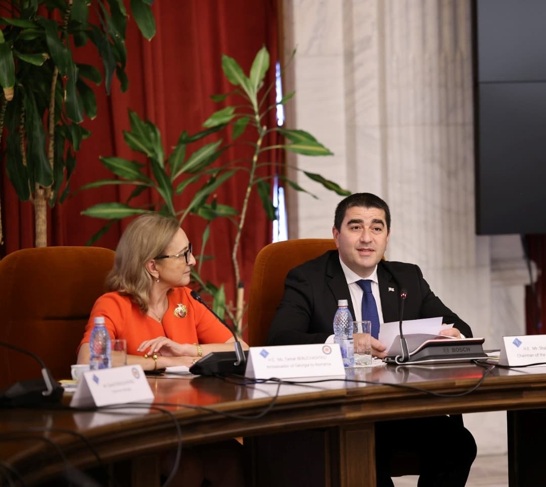 შალვა პაპუაშვილი – იმედი მაქვს, რომ შემდეგ ათწლეულში ევროკავშირისა და ნატოს საოცნებო ქოლგა საქართველოს ცაზე გაიშლება