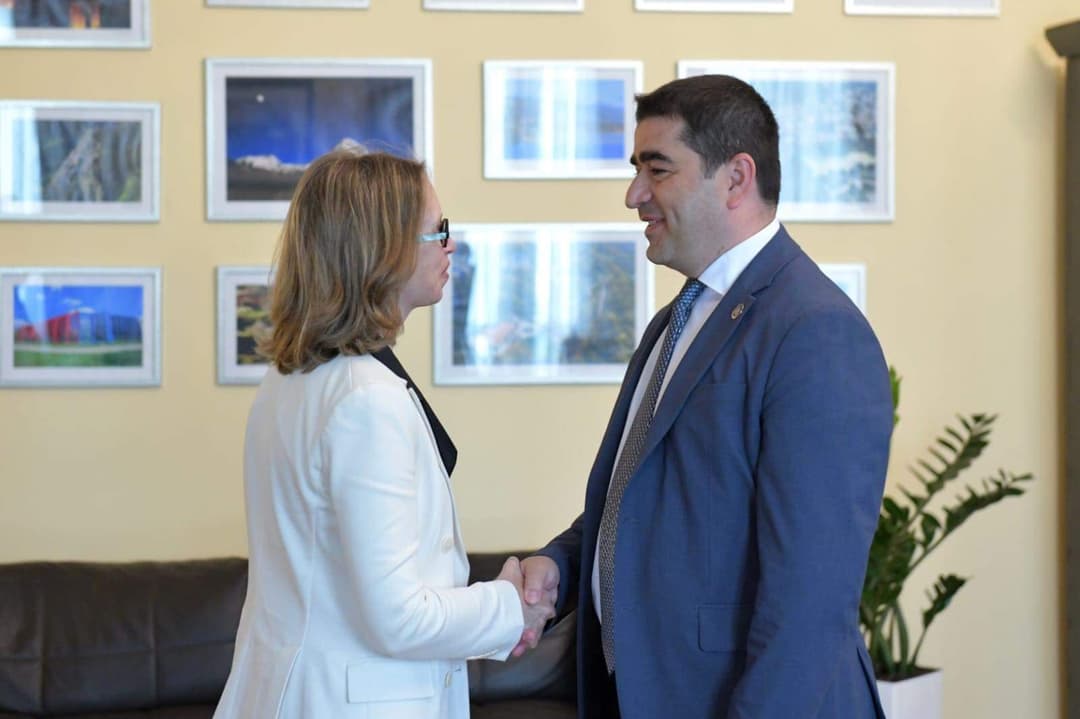 შალვა პაპუაშვილი დემოკრატიის, ადამიანის უფლებებისა და შრომის საკითხებში აშშ-ის სახელმწიფო მდივნის თანაშემწის მოადგილეს შეხვდა