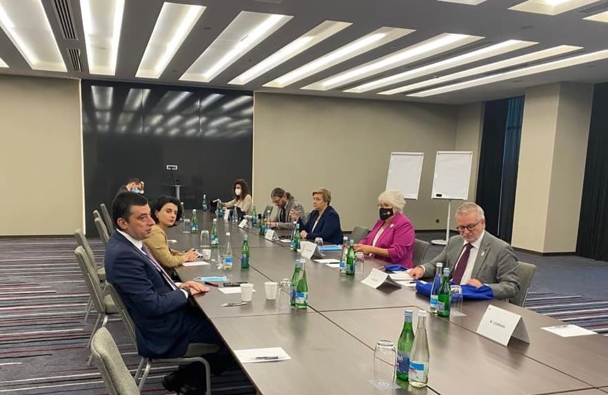 ნათია მეზვრიშვილი – ევროპარლამენტარებთან შეხვედრაზე დავაყენეთ საკითხები, რომლებიც ეხება საარჩევნო ხმების დათვლის პროცესის ვიდეო-გადაღებას