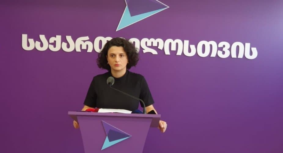 ნათია მეზვრიშვილი – თუ მართლა ჩამოვიდა, ალბათ, “ოცნების” რომელიმე წარმომადგენელს ჰყავს შეფარებული