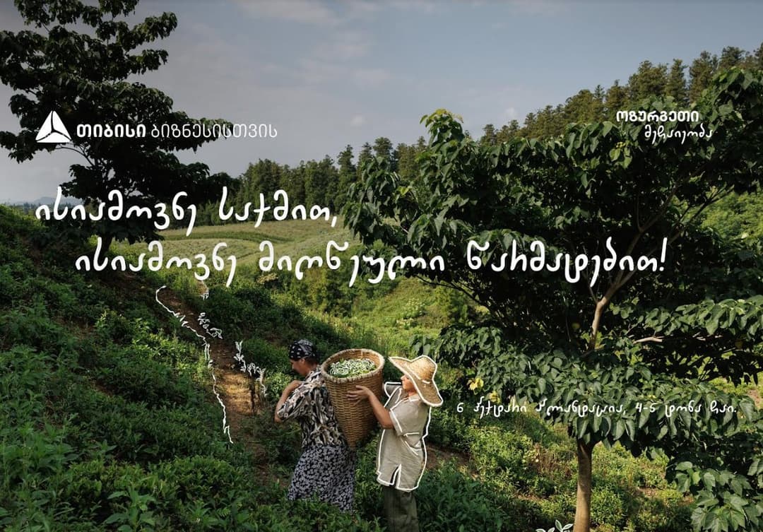 თიბისის მხარდაჭერით გურიაში ჩაის წარმოება გაფართოვდა