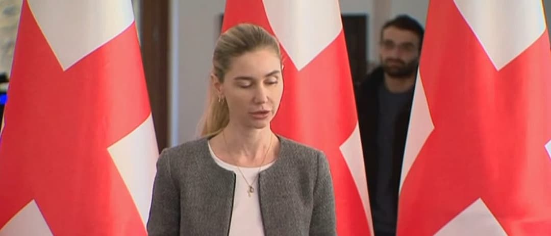 თინა ბოკუჩავა – გთხოვთ გაზარდოთ მხარდაჭერა სადამკვირვებლო მისიისთვის არჩევნებზე, სადაც გადაწყდება ჩვენი ერის ბედი