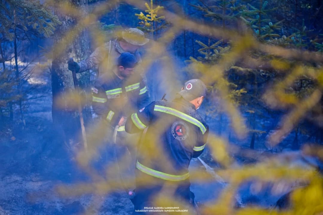 სოფელ ძირაგეულის ტყეში ხანძრის შედეგად 8 ჰა ფართობი დაიწვა