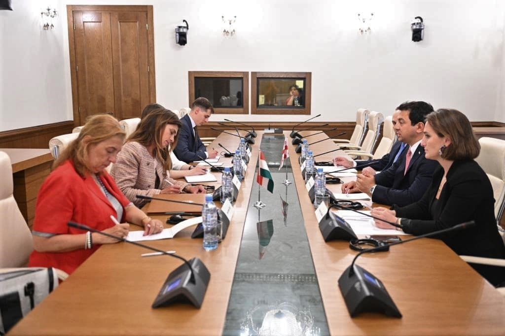 არჩილ თალაკვაძე – ვაფასებთ უნგრეთის ძლიერ მხარდაჭერას ევროპული ინტეგრაციის გზაზე