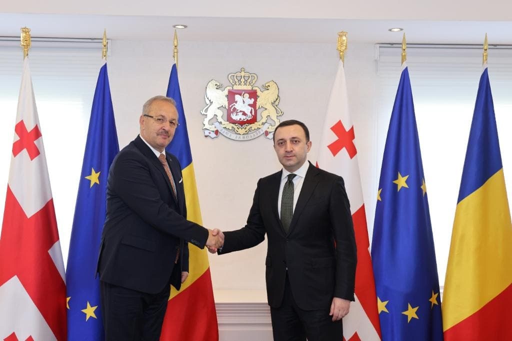 ირაკლი ღარიბაშვილი რუმინეთის ეროვნული თავდაცვის მინისტრ ვასილე დინკუს შეხვდა