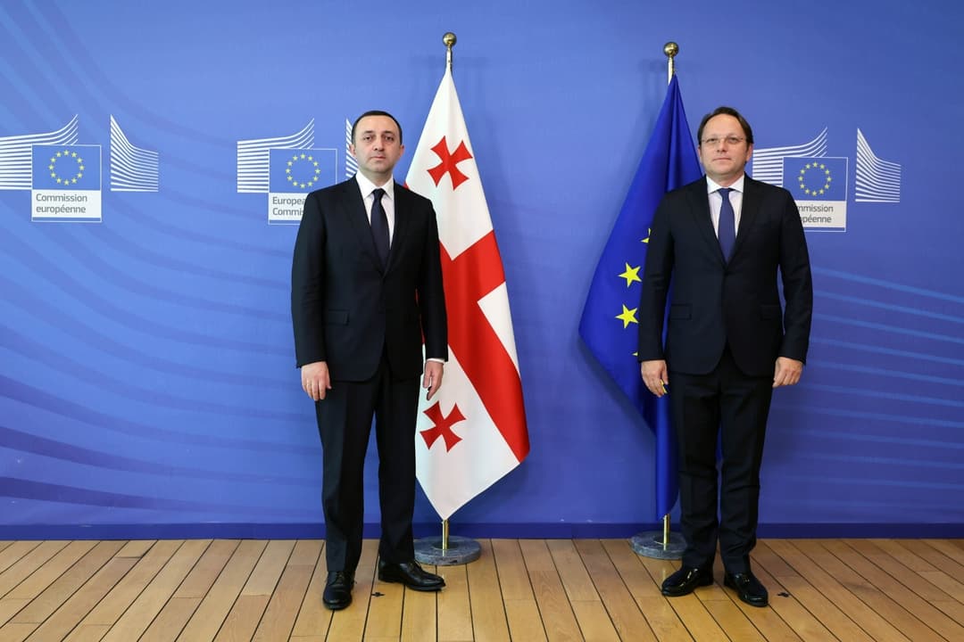 ირაკლი ღარიბაშვილი ოლივერ ვარჰეის შეხვდა