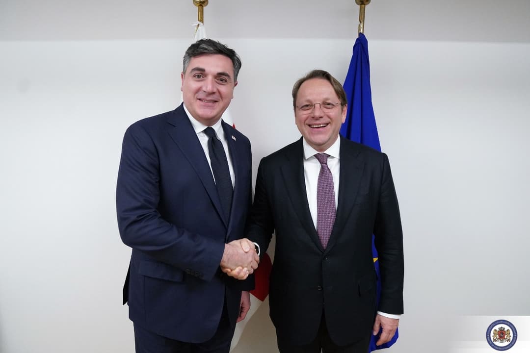 ილია დარჩიაშვილი ოლივერ ვარჰეის შეხვდა