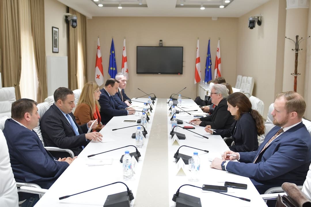 გიორგი ვაშაძე – დაახლოებით ერთი თვის ვადაში ჩამოყალიბდება თუ რა მოცულობის იქნება სადამკვირვებლო ჯგუფი, რომელიც საქართველოში ჩამოვა