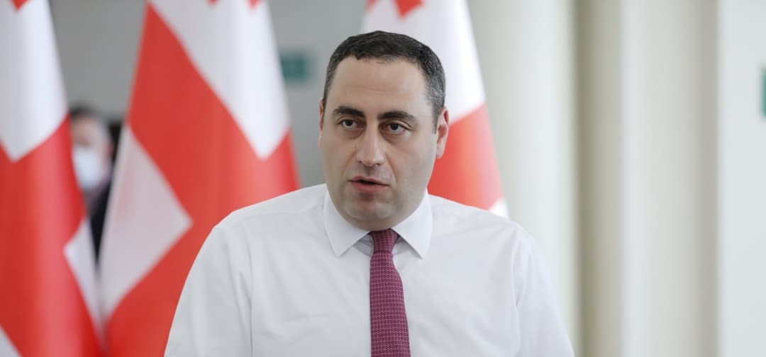 გიორგი ვაშაძე – სავიზო მიმართულებით იყო საუბარი, ასევე ფრენებზე, ტექნოლოგიური კომპანიების შემოყვანაზე, მაგრამ მთავრობა ხელს არ ანძრევს