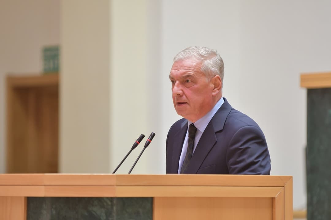 გიორგი ვოლსკი – ეს არის მზადება საქართველოს დესტაბილიზაციისთვის