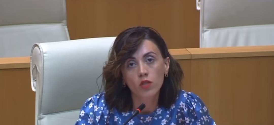 ანა წითლიძე – წილოსანს ანუ იმედი აქვს, რომ ოდიშარია და მდინარაძე ცხვირ-პირს დამალეწავენ