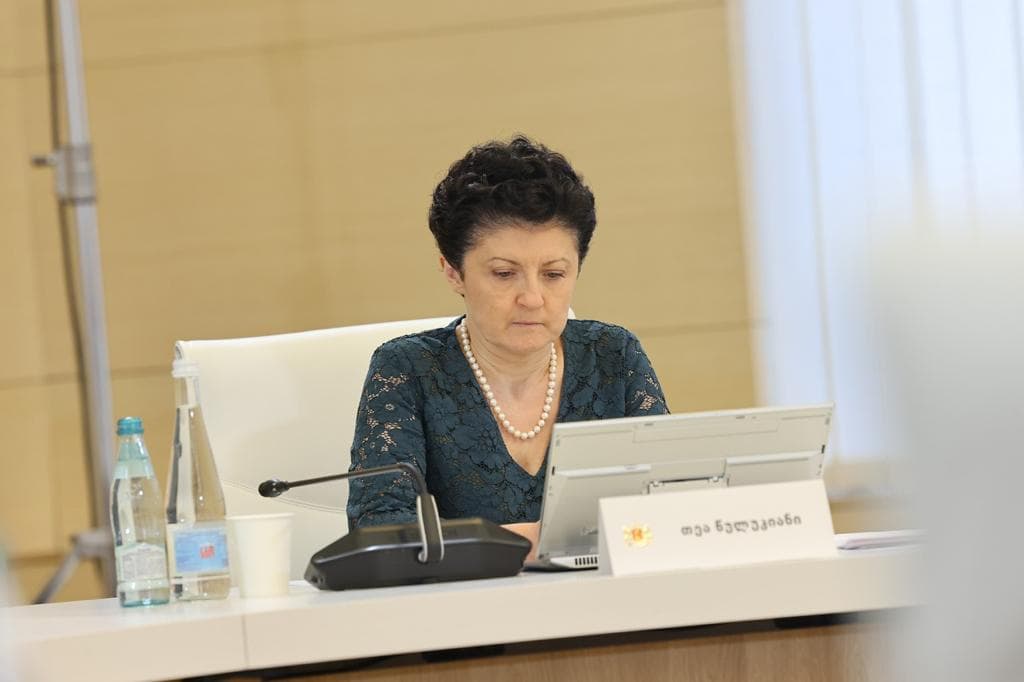 თეა წულუკიანი – ამ არამეგობრული ჟესტის შესაბამისი რეზოლუციის უკან დგას მისი ავტორი, ბატონი მერაბიშვილის უახლოესი მეგობარი ქალბატონი გოშევსკა