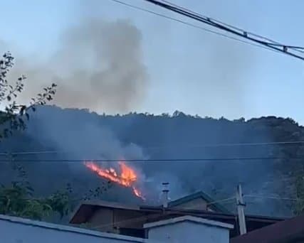 მცხეთაში, ტყეში ხანძარია