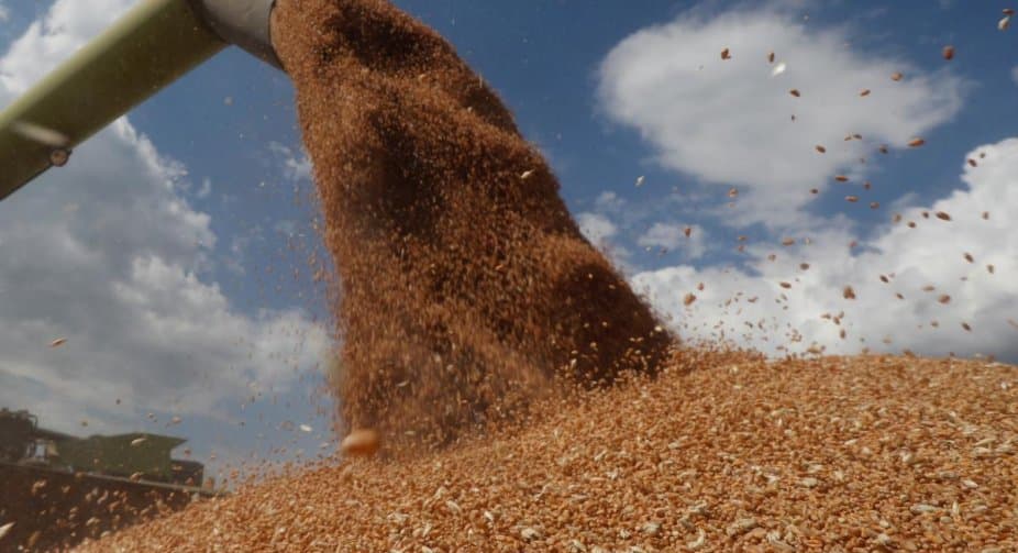 ევროკავშირი უკრაინას ხორბლის ექსპორტში დაეხმარება