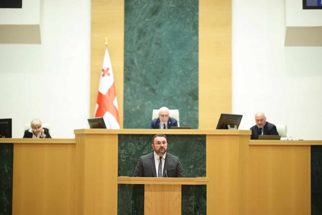 Georgian Parliament recognises credentials of all MPs after October elections