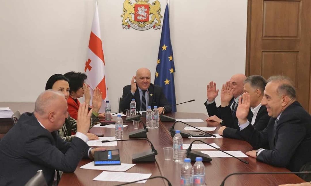 New Parliamentary committees in Georgia elect deputy chairpersons