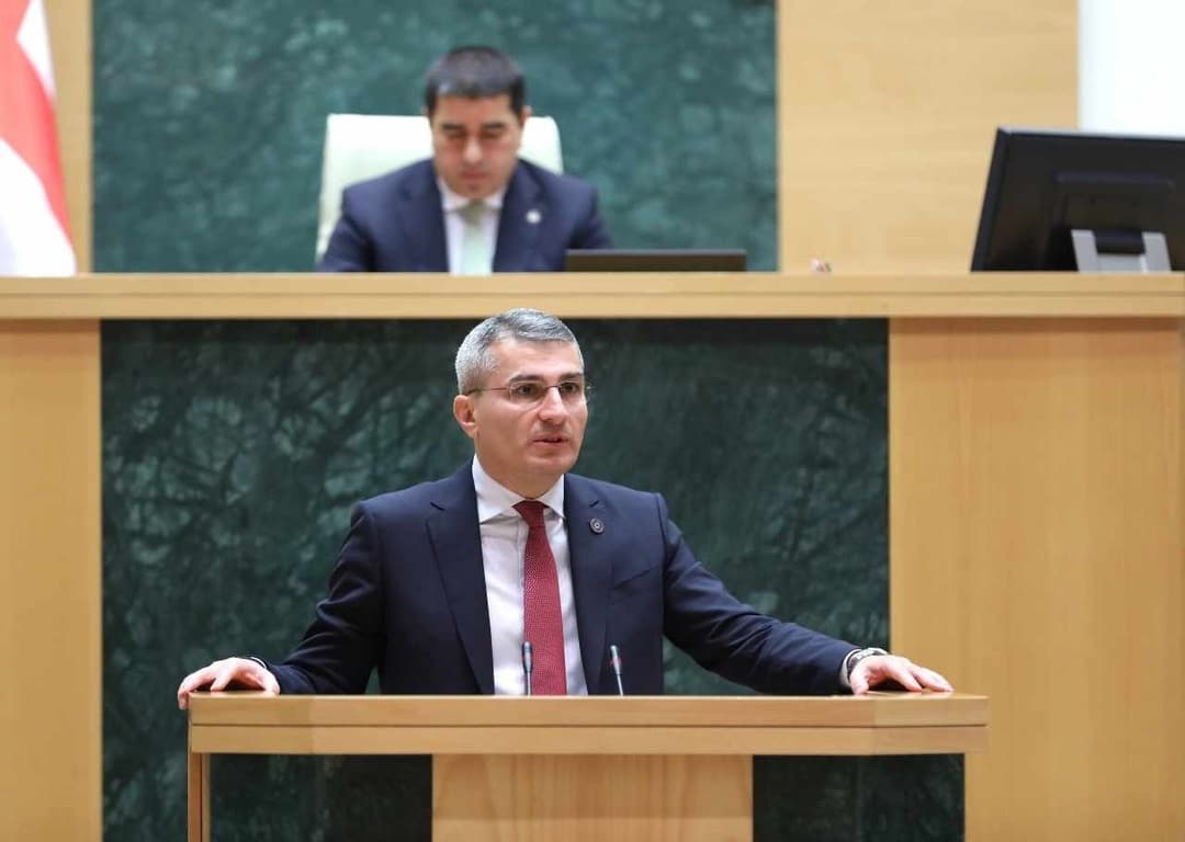 Ruling party Executive Secretary: not only EU Ambassador, others will also shake hands with Georgian FM