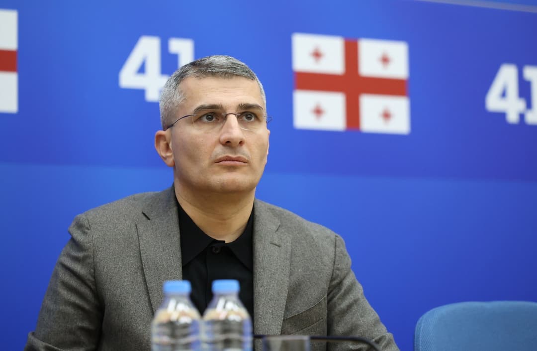 Mamuka Mdinaradze: ‘Suspension of visa liberalization with Georgia is impossible’