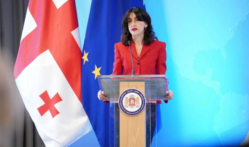 მაკა ბოჭორიშვილი – მხოლოდ პრაგმატული და შედეგებზე ორიენტირებული პოლიტიკის გატარებით შევძლებთ კონსტიტუციური მიზნების შესრულებას