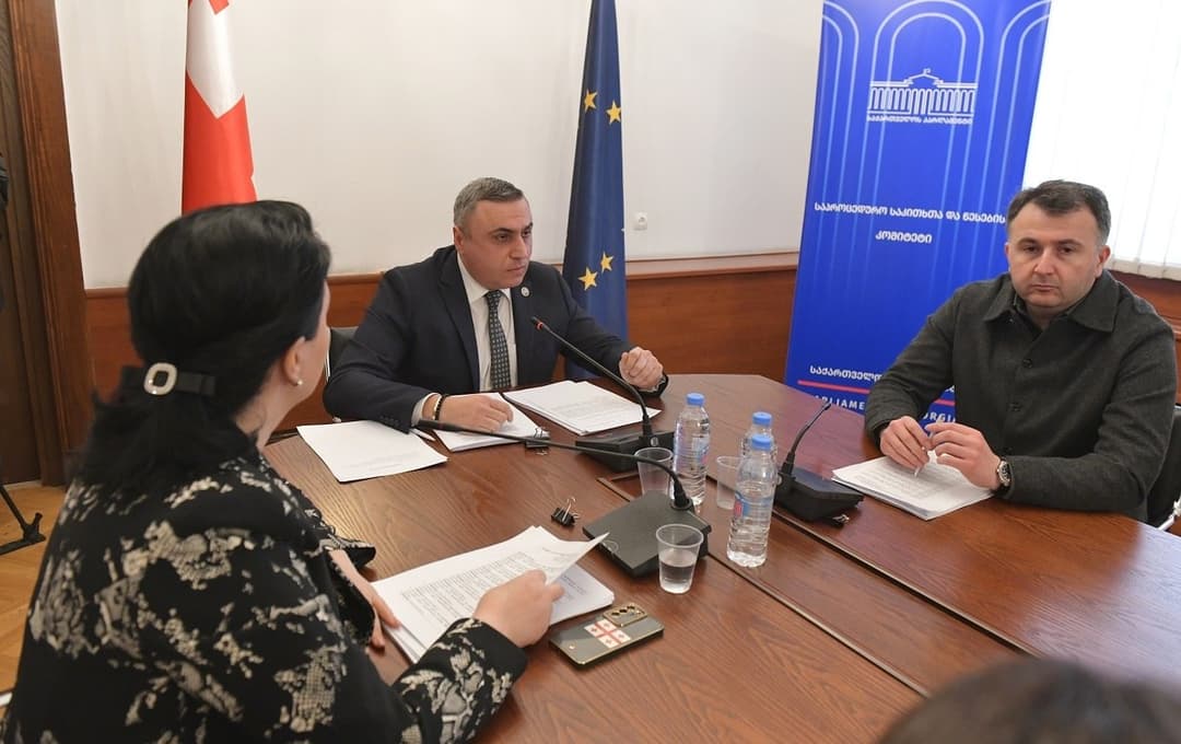 Georgia’s Parliament moves to terminate mandates of 49 of 61 opposition MPs