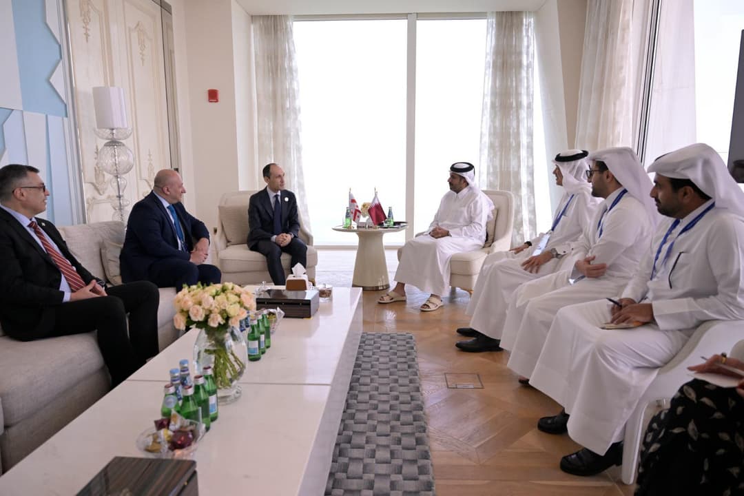Georgia, Qatar set to launch free trade talks, Economy Minister