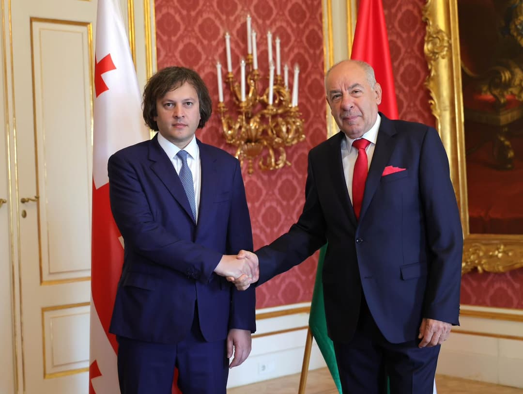 ირაკლი კობახიძე უნგრეთის პრეზიდენტ ტამაშ შუიოკს შეხვდა