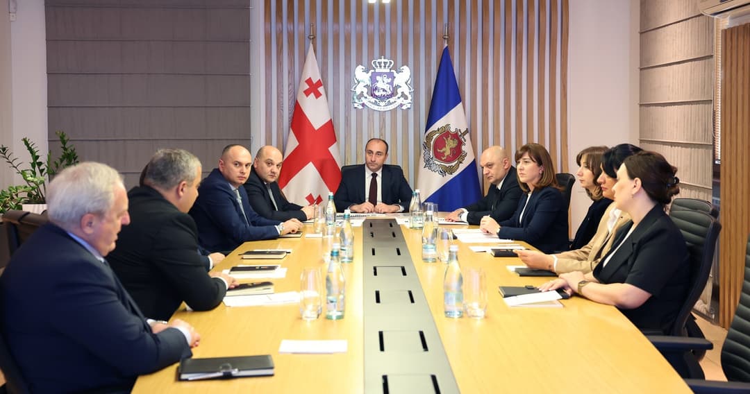 გეკა გელაძემ მიგრაციის დეპარტამენტის ხელმძღვანელ პირებთან სამუშაო შეხვედრა გამართა