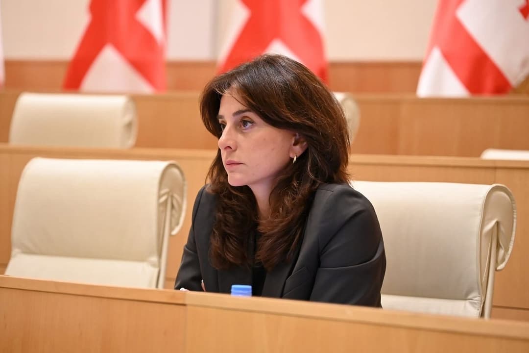 მაია ბითაძე - თავი შეიკავეთ ისეთი სიტყვების წარმოთქმისგან, როგორიც არის „ღალატი“, ამას ამ დარბაზში არავინ შეგარჩენთ!