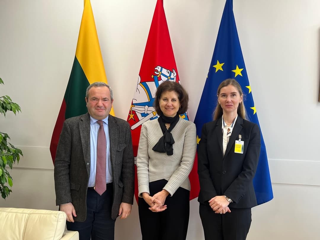 თინა ბოკუჩავა ლიეტუვის საგარეო საქმეთა მინისტრის მოადგილეს შეხვდა