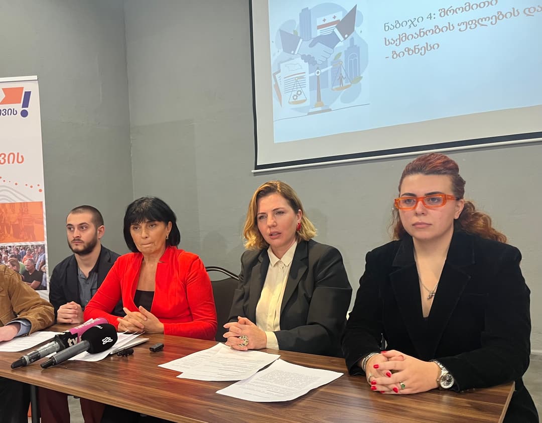 პარტიამ "ხალხისთვის“ ემიგრაციის საკითხებზე ეროვნული გადარჩენის ხედვა წარადგინა