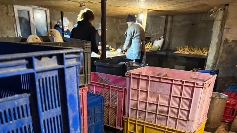 თერჯოლაში ფრინველთა არალეგალური სასაკლაო გამოავლინეს