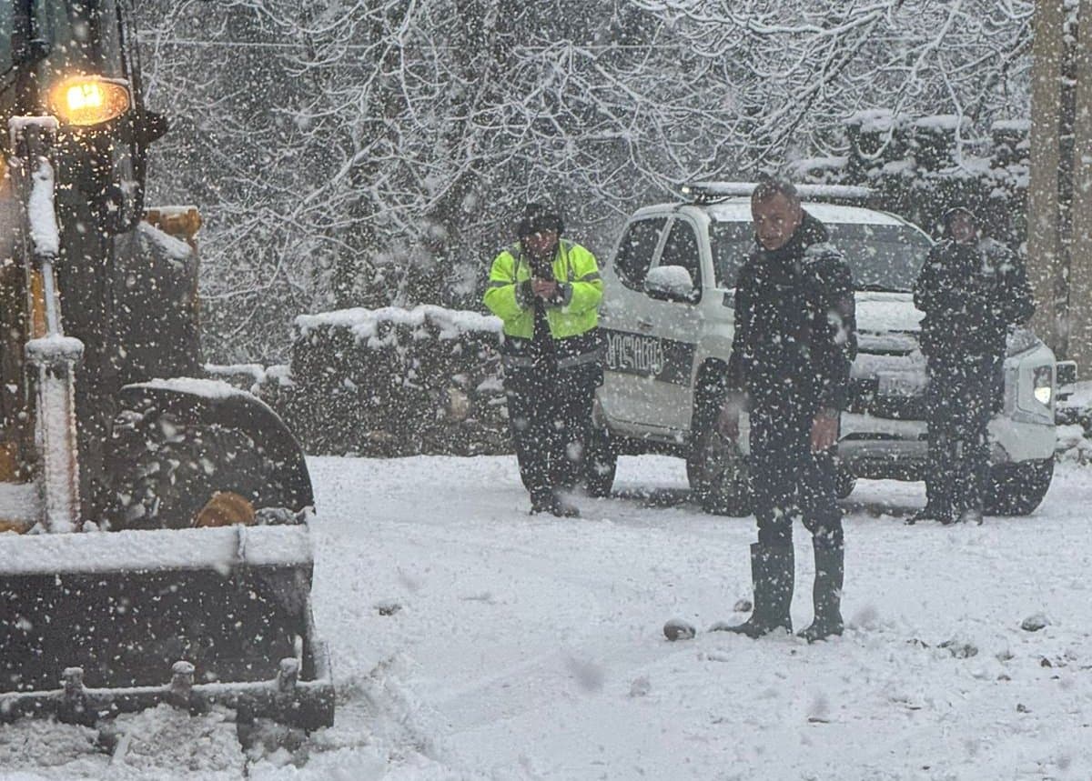 წალენჯიხის მუნიციპალიტეტში დილიდან ინტენსიურად თოვს - მიმდინარეობს გზების გაწმენდითი სამუშაოები