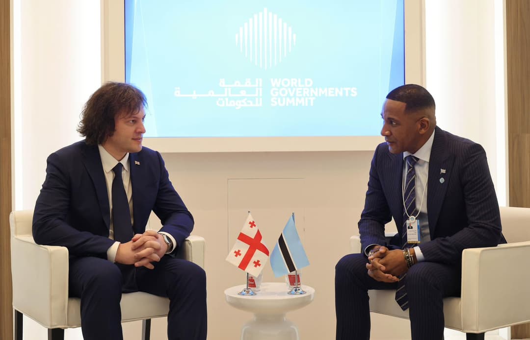 ირაკლი კობახიძე ბოტსვანას რესპუბლიკის პრეზიდენტს შეხვდა