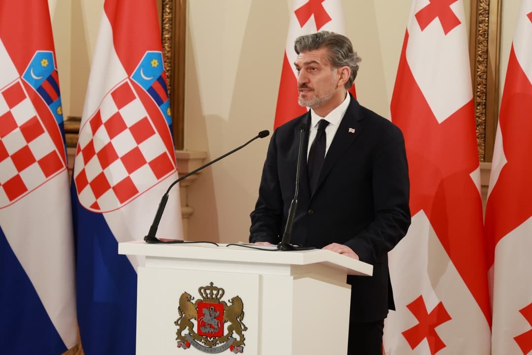 მიხეილ ყაველაშვილი - მადლობას ვუხდი ხორვატიას, რომ ჩვენ სუვერენიტეტს და ტერიტორიულ მთლიანობას აღიარებს და მხარს უჭერს