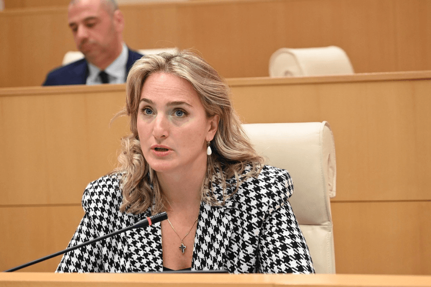 მარიამ ლაშხი - სტივ დეინსის მხრიდან აშშ-ში საქართველოს საპარლამენტო დელეგაციის ვიზიტი პოზიტიურად შეფასდა