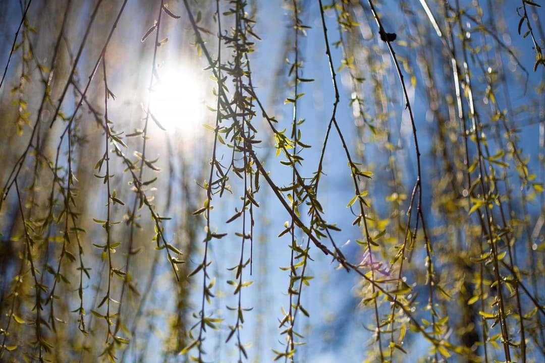 15-17 აპრილს მოსალოდნელი ამინდი საქართველოში