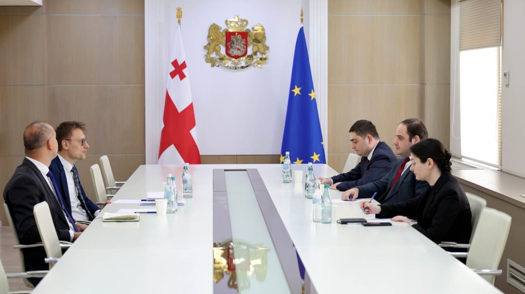 ლევან ჟორჟოლიანი საქართველოში პოლონეთის მისიის ხელმძღვანელს შეხვდა