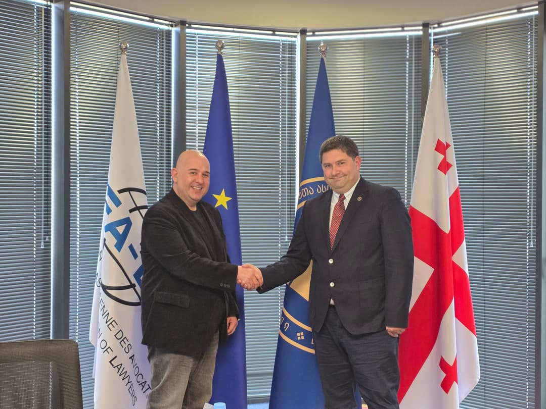 ადვოკატთა ასოციაციის თავმჯდომარე "ევროპის უნივერსიტეტის" ვიცე-რექტორს რაულ ქირიას შეხვდა