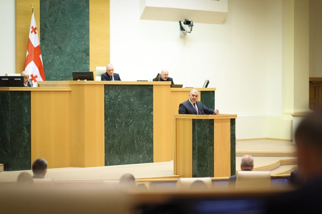 მიხეილ სარჯველაძე - პაციენტებს ვერ უშველის უბრალოდ თანხის დახარჯვა, ბავშვს უშველის მხოლოდ წამალი, სწორი და რეალური წამალი