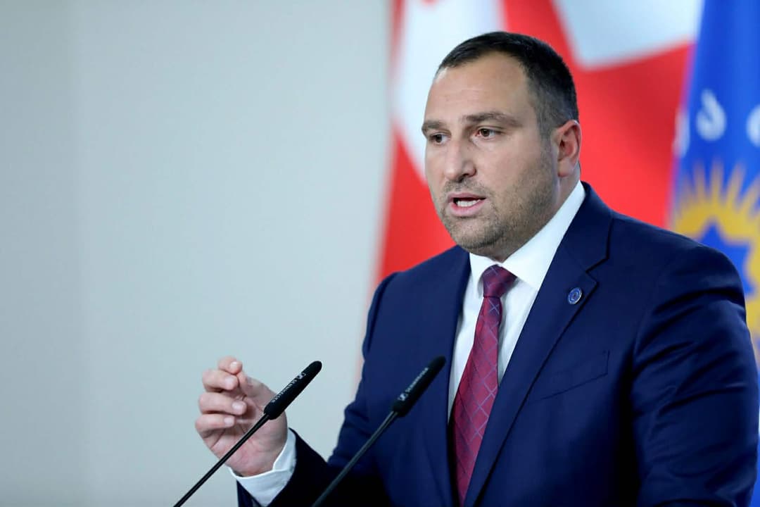 ირაკლი კირცხალია - დააინვალიდეს თითქმის ყველა პატიმარი, გაანადგურეს ბიზნესები, ოჯახები და დღეს ცხოველთა დაცვაზე გვესაუბრებიან ეს მწამებლები