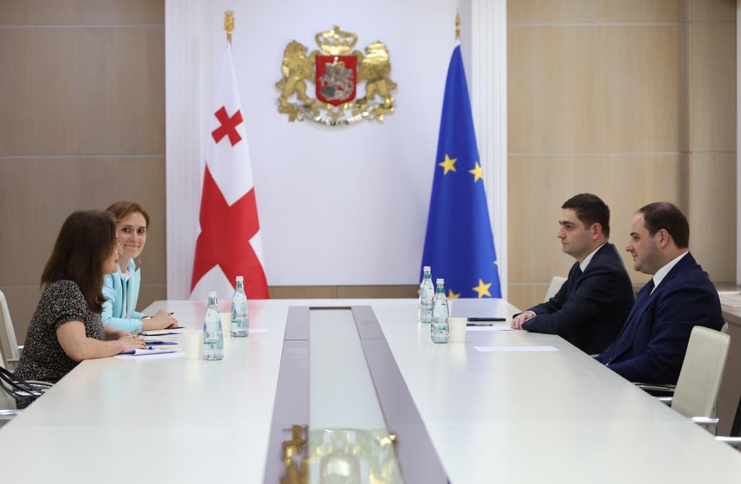 ლევან ჟორჟოლიანი საქართველოში გაეროს ლტოლვილთა უმაღლესი კომისარიატის (UNHCR) წარმომადგენელ ანა რიჩს შეხვდა