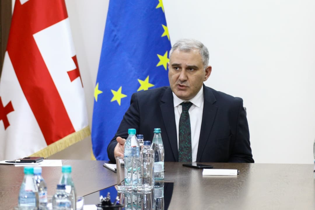 Georgian Health Minister: work continues on drug evaluation, social support measures