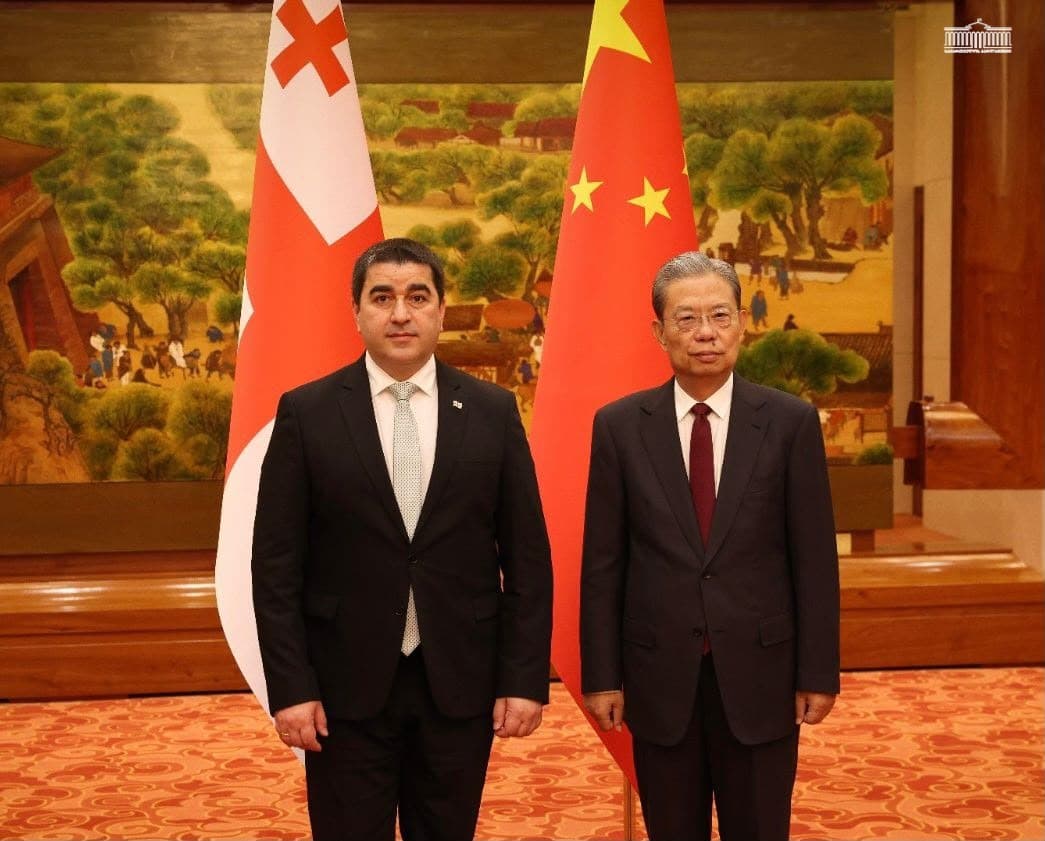 Georgian parliamentary speaker holds talks with Chinese legislature chairman