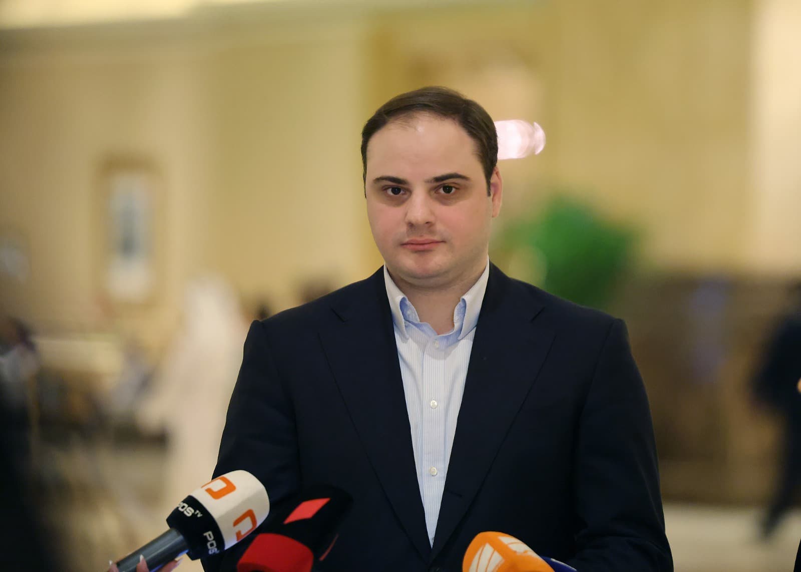 “Any interested person can see what decisions the government is making and express opinions regarding them,” Zhorzholiani claimed