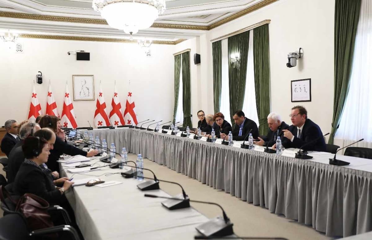 საპარლამენტო ოპოზიციის წევრები ვენეციის კომისიის დელეგაციას შეხვდნენ