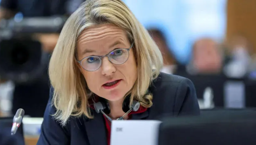 MEP Cramon on Georgian PM’s criticism: ‘very tempting career perspective’