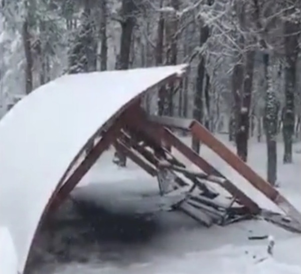 წყნეთის გზაზე ავტობუსის გაჩერებაზე მოქალაქეთა მოსაცდელის წაქცევის შედეგად მოზარდი დაშავდა