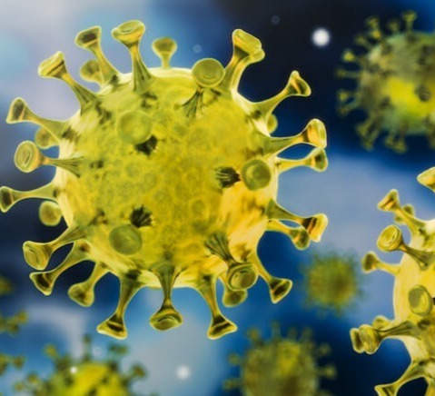 12 people died of coronavirus in 24 hours in Georgia