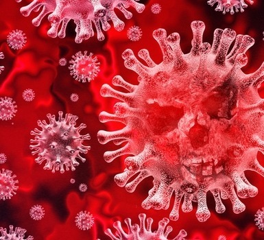 528 new cases of coronavirus were detected in Georgia, 299 people recovered